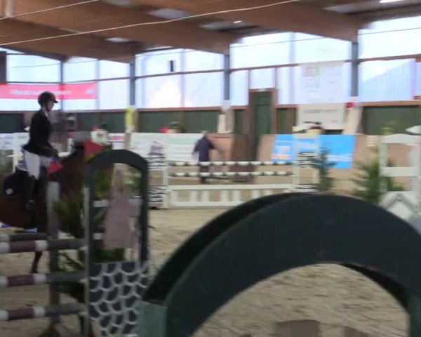 Reitturnier Velen 2016