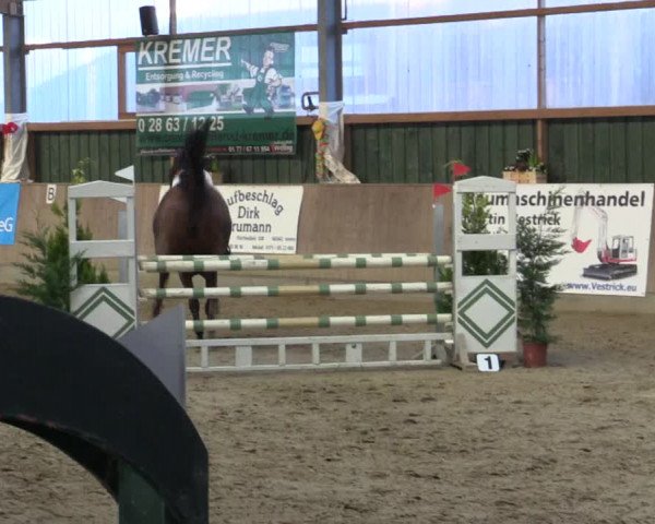 Reitturnier Velen 2016