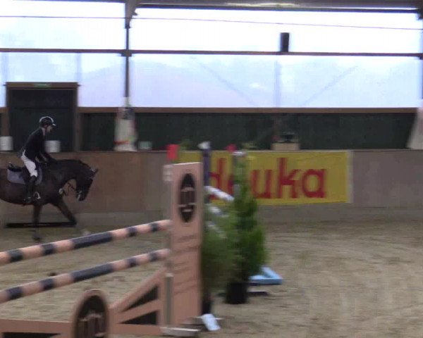 Reitturnier Velen 2016
