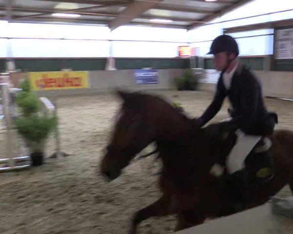 Reitturnier Velen 2016
