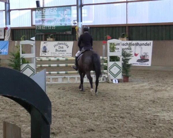 Reitturnier Velen 2016