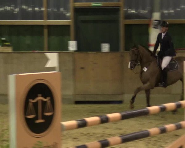 Reitturnier Velen 2016