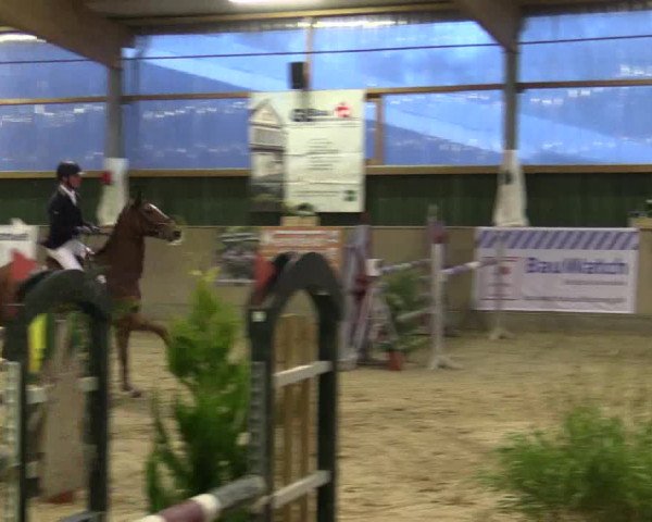 Reitturnier Velen 2016