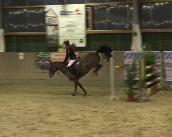 Reitturnier Velen 2016