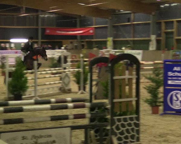 Reitturnier Velen 2016