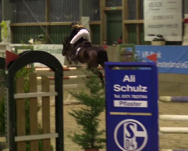 Reitturnier Velen 2016