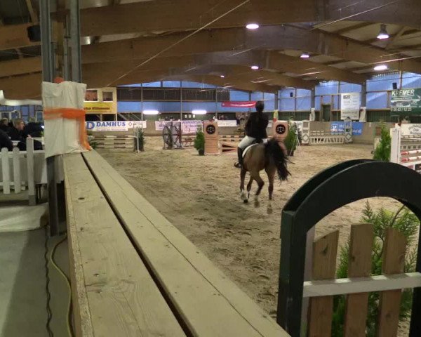 Reitturnier Velen 2016