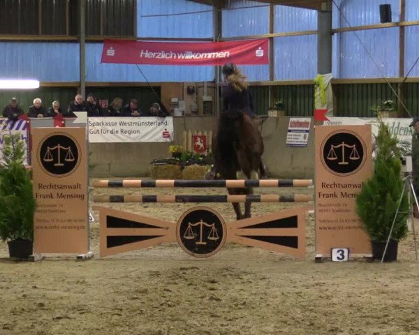 Reitturnier Velen 2016