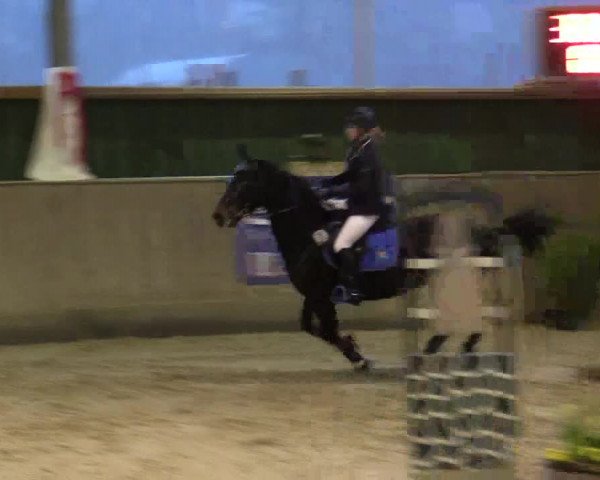 Reitturnier Velen 2016