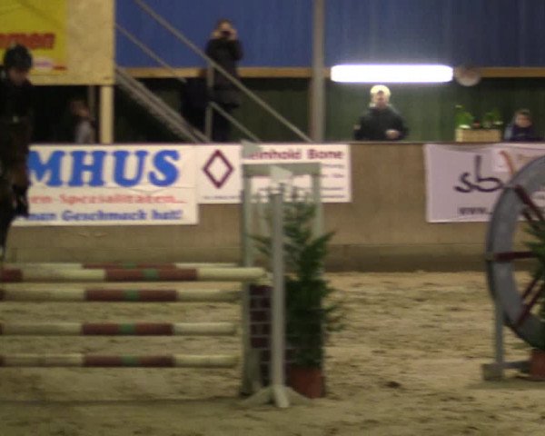 Reitturnier Velen 2016