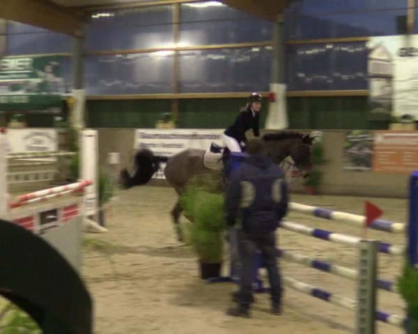 Reitturnier Velen 2016