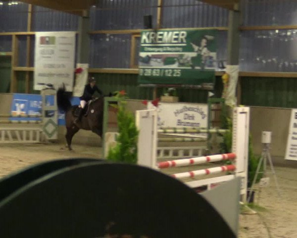 Reitturnier Velen 2016