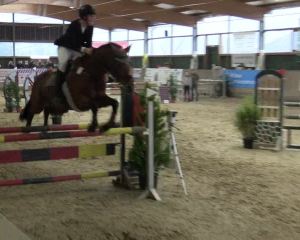 Reitturnier Velen 2016