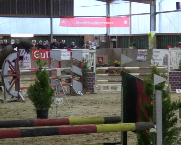 Reitturnier Velen 2016