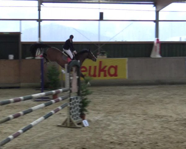 Reitturnier Velen 2016