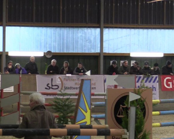 Reitturnier Velen 2016