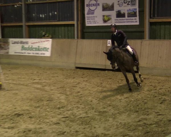Reitturnier Velen 2016