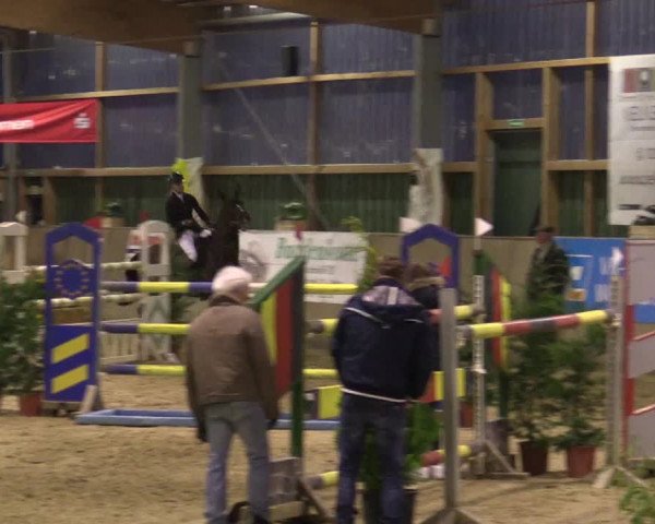 Reitturnier Velen 2016