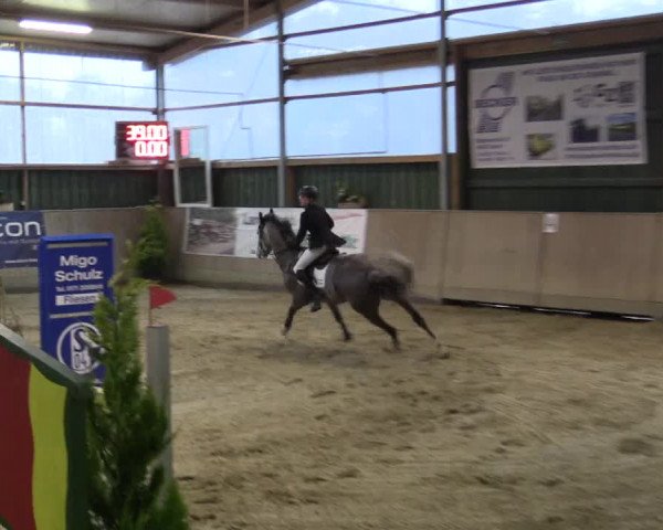 Reitturnier Velen 2016