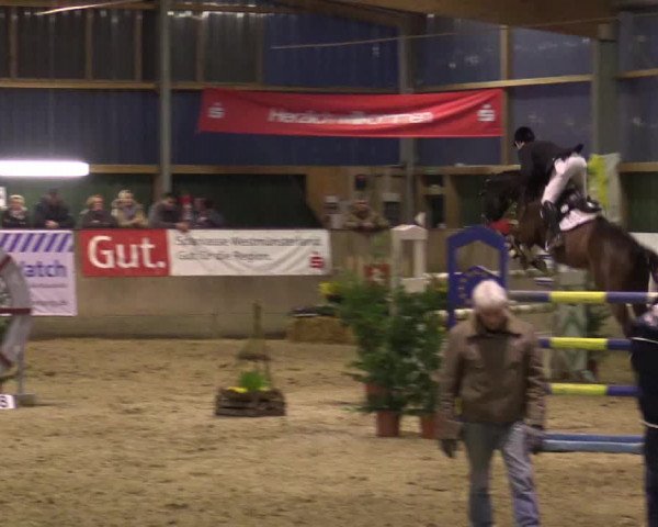 Reitturnier Velen 2016