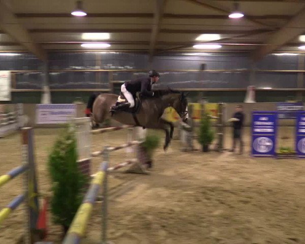 Reitturnier Velen 2016