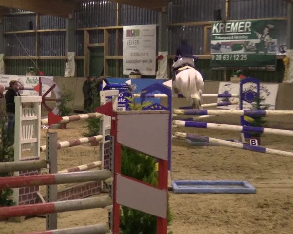 Reitturnier Velen 2016