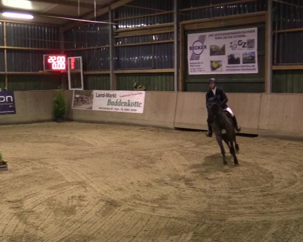 Reitturnier Velen 2016
