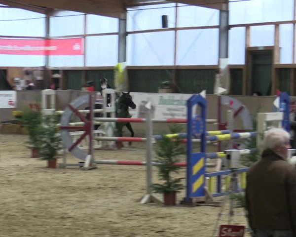 Reitturnier Velen 2016