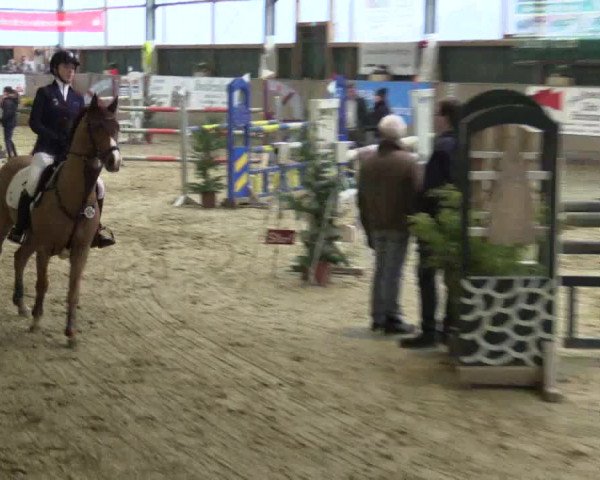 Reitturnier Velen 2016