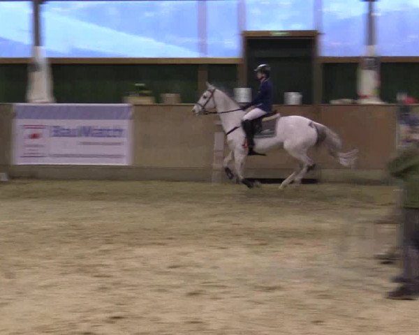 Reitturnier Velen 2016