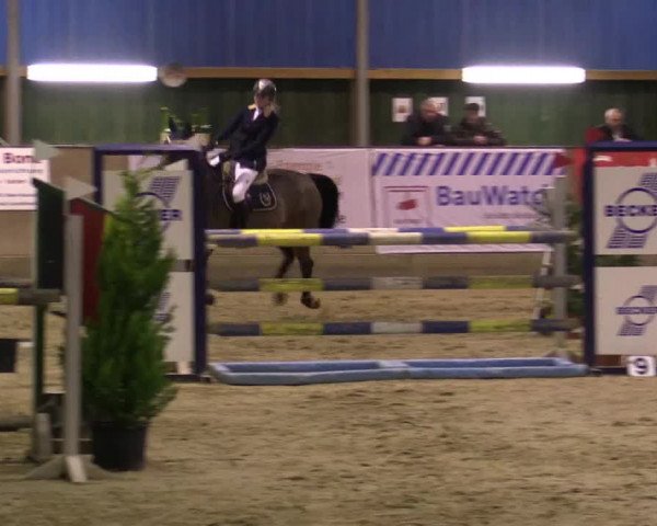 Reitturnier Velen 2016