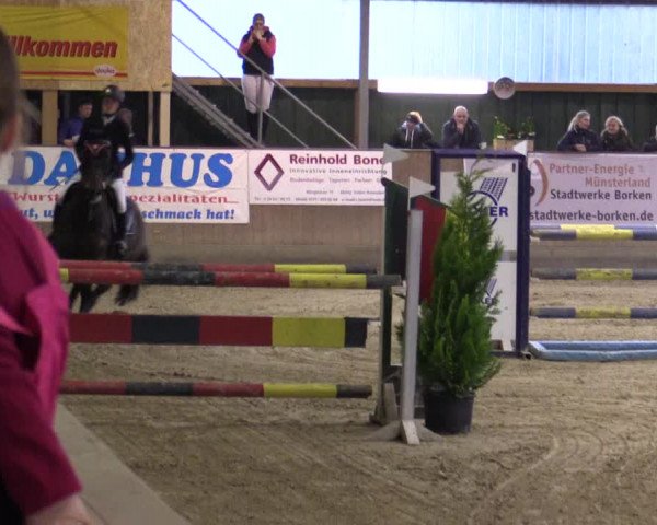 Reitturnier Velen 2016