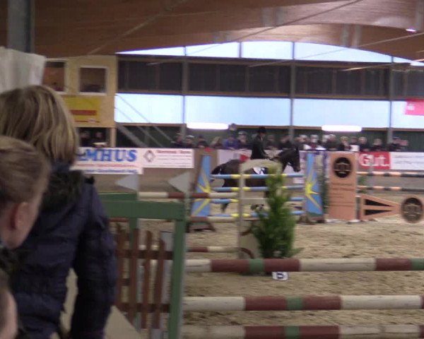 Reitturnier Velen 2016