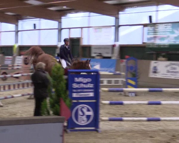 Reitturnier Velen 2016