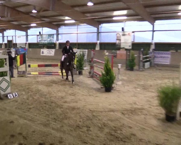 Reitturnier Velen 2016