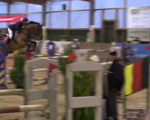 Reitturnier Velen 2016