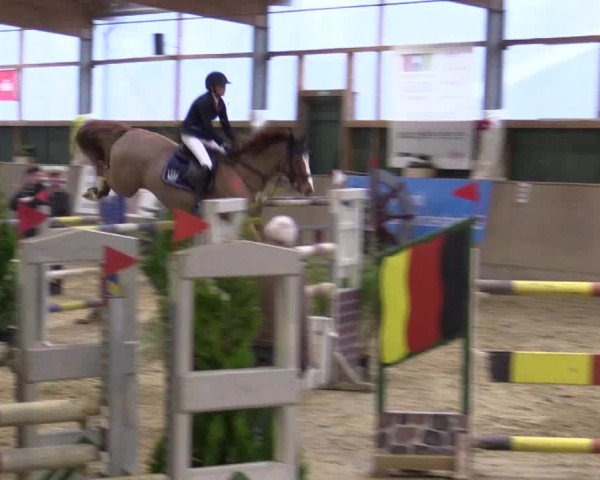 Reitturnier Velen 2016