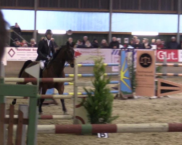Reitturnier Velen 2016