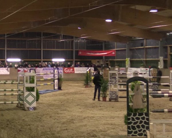 Reitturnier Velen 2016