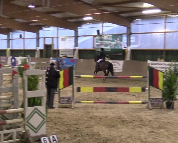 Reitturnier Velen 2016