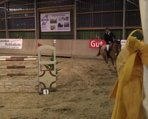 Reitturnier Velen 2016