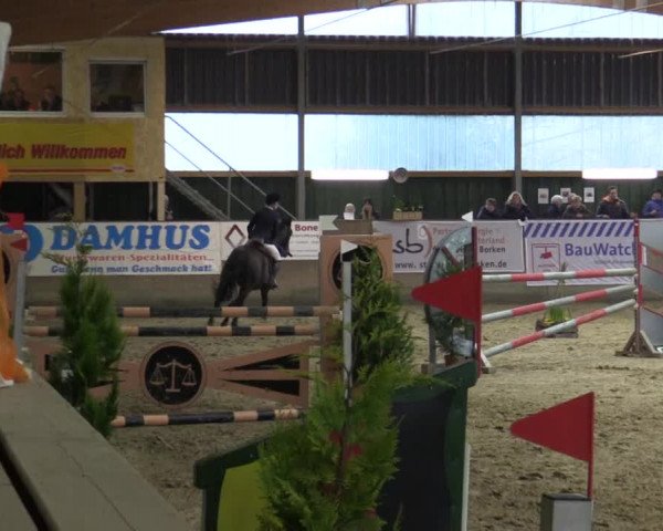 Reitturnier Velen 2016