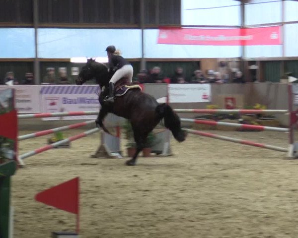 Reitturnier Velen 2016