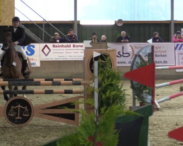 Reitturnier Velen 2016
