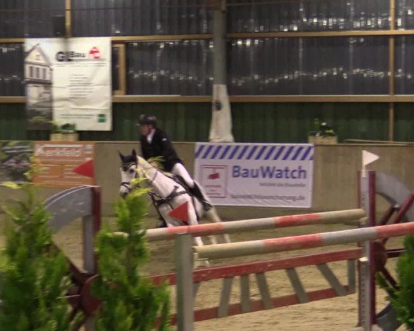 Reitturnier Velen 2016