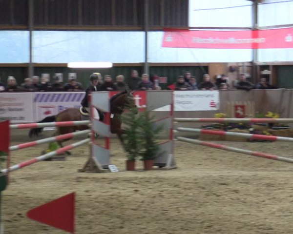 Reitturnier Velen 2016