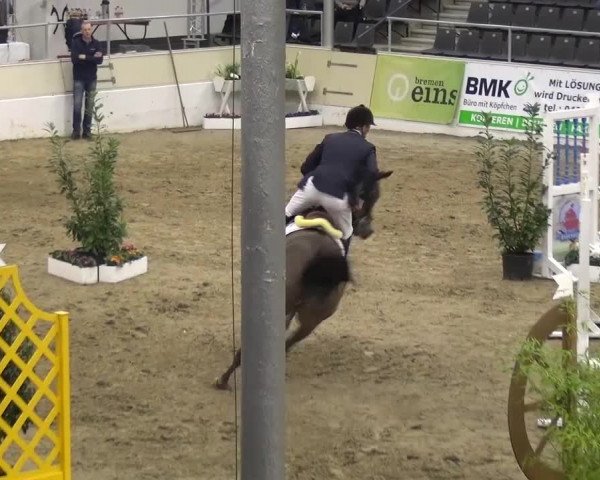 VER-Dinale 2016
