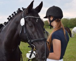 Dressurpferd Once Again 4 (Deutsches Reitpony, 2007, von Offshore Energy R)