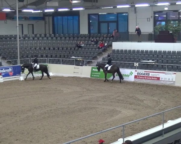 VER-Dinale 2016