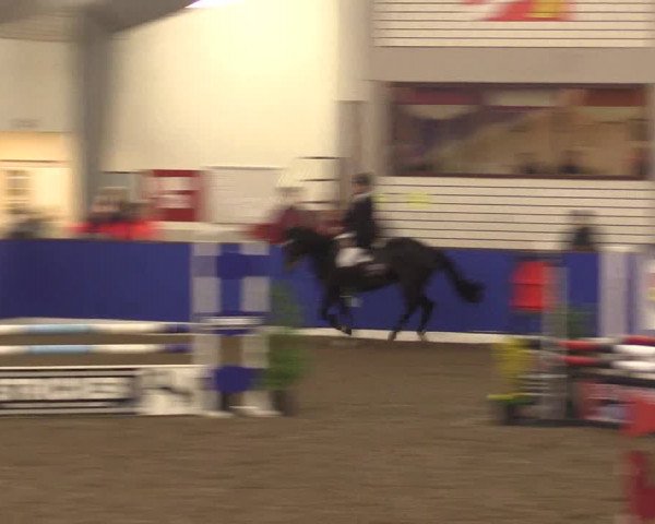 Reitturnier Dörpen 2016